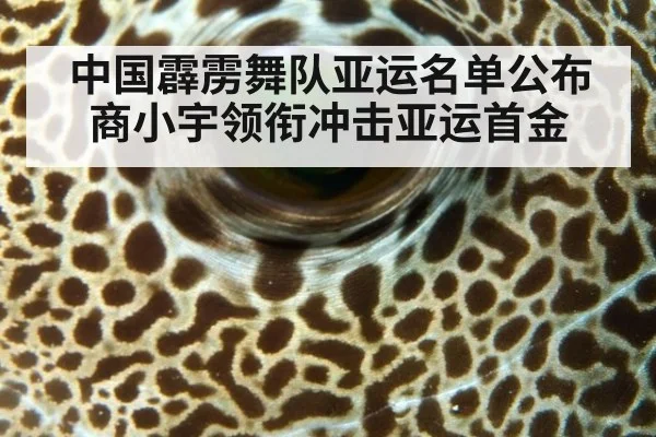 中国霹雳舞队亚运名单公布 商小宇领衔冲击亚运首金