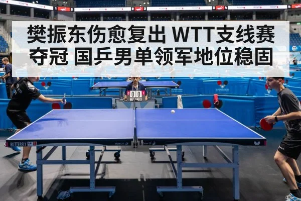 樊振东伤愈复出 WTT支线赛夺冠 国乒男单领军地位稳固