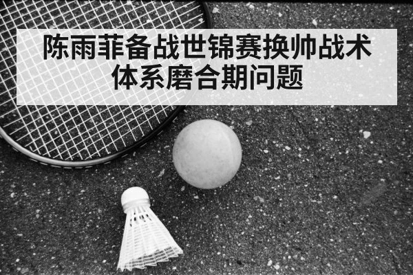 陈雨菲备战世锦赛换帅战术体系磨合期问题